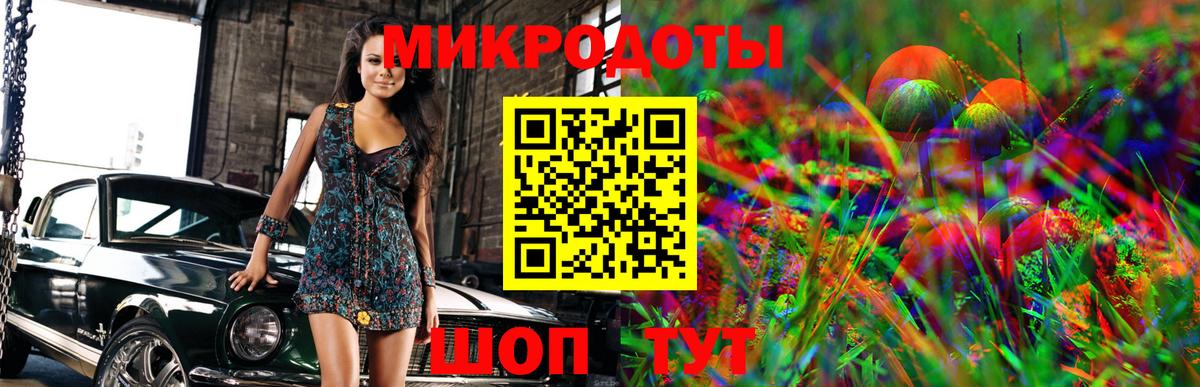 Кулебаки  Псилоцибиновые грибы прущие грибы  Вход с VPN  Галлюциногенные грибы прущие грибы 